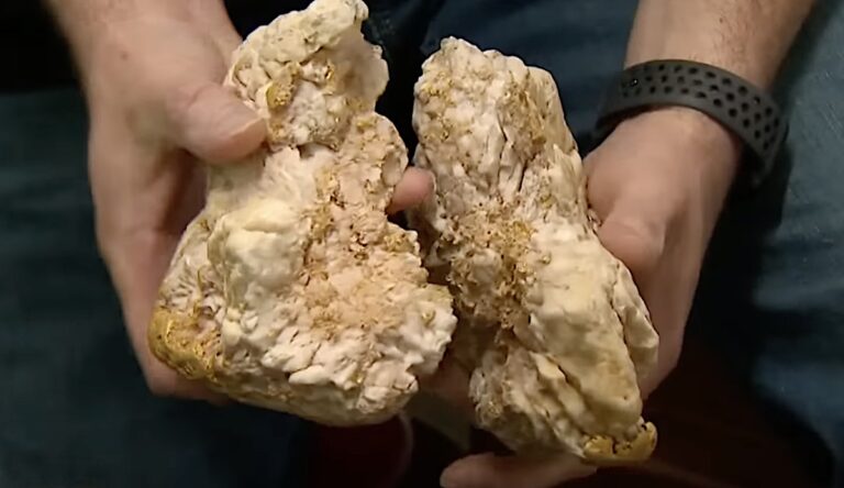 VIDEO: Amateur goudzoeker vindt steen met 2,6 kilogram goud