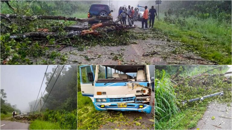 Boom omgevallen op Oost-Westverbinding; schoolbus beschadigd en stroomkabels losgerukt