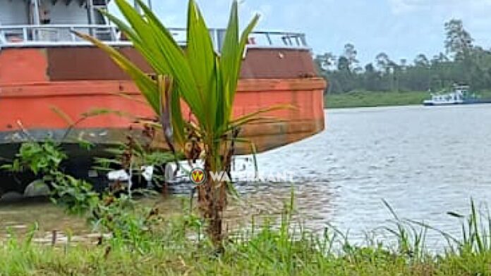 Opnieuw lijk van vrouw geborgen uit Surinamerivier