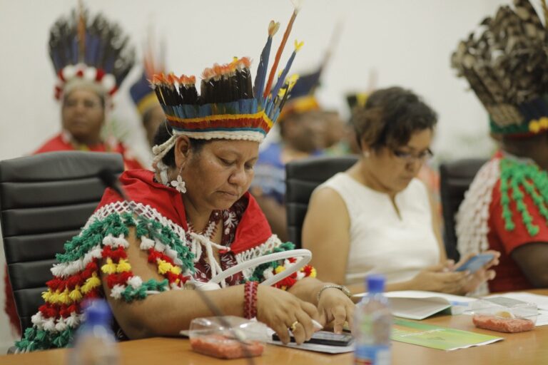 Vereniging van Inheemse Dorpshoofden in Suriname praat met president en ministers