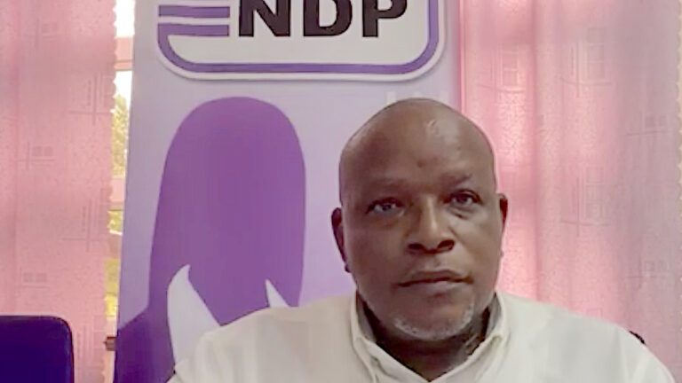 NDP-woordvoerder Ricardo Panka