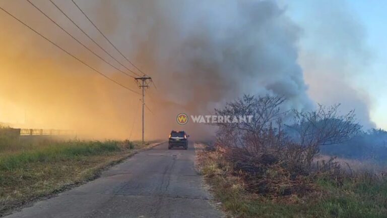 VIDEO: Brandweer voorkomt erger bij uit de hand gelopen gras- en bosbrand Paramaribo-Noord