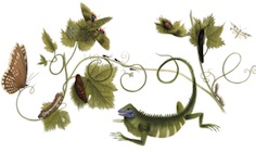 Surinaamse insecten en reptielen op Google’s Doodle