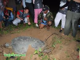 ‘Meer geld nodig voor bescherming natuur Suriname’