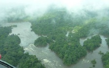 Suriname wil tropisch regenwoud beschermen
